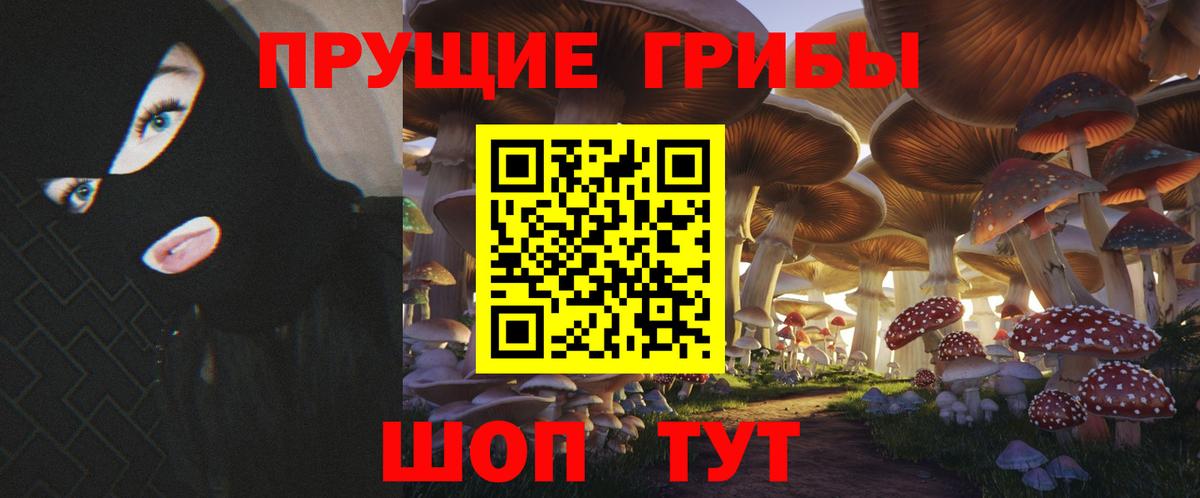Галлюциногенные грибы Magic Shrooms  закладка  Кингисепп  Вход с VPN 