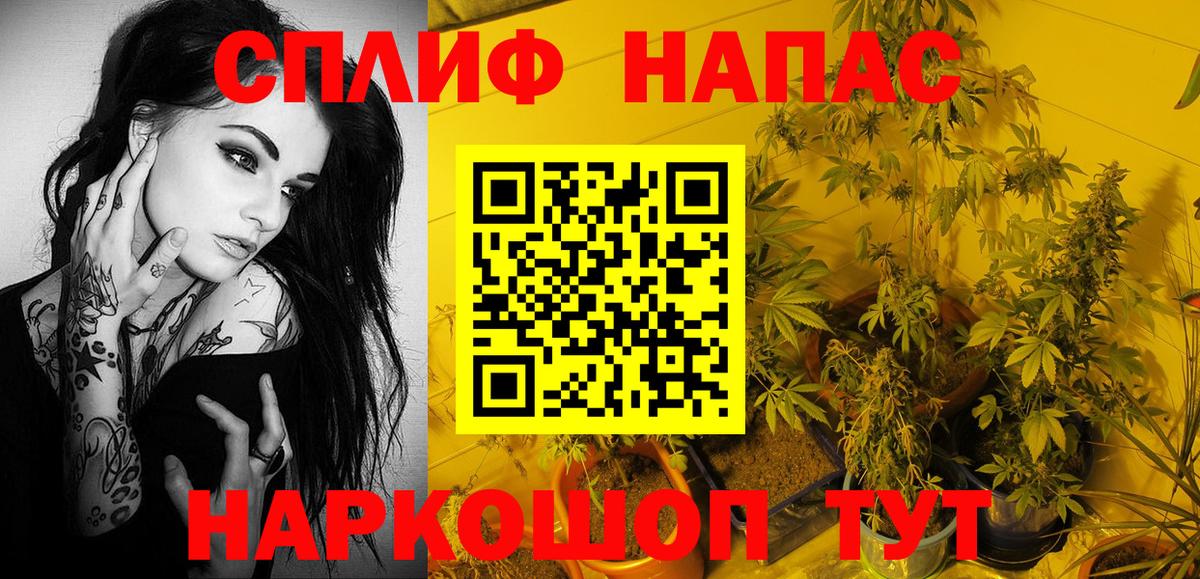 Конопля индика Кингисепп